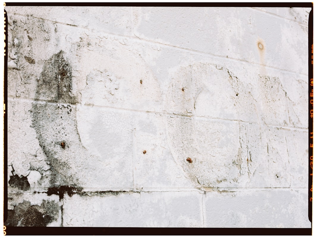 Basement Water Removal service in Mesquite, TX